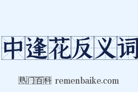 中逢花反义词是什么意思的图片